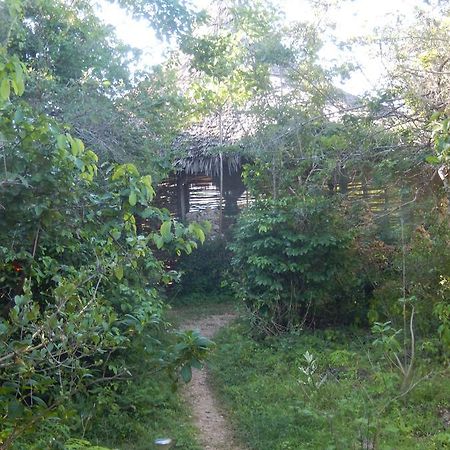 Wasini Island Bandas Exterior foto