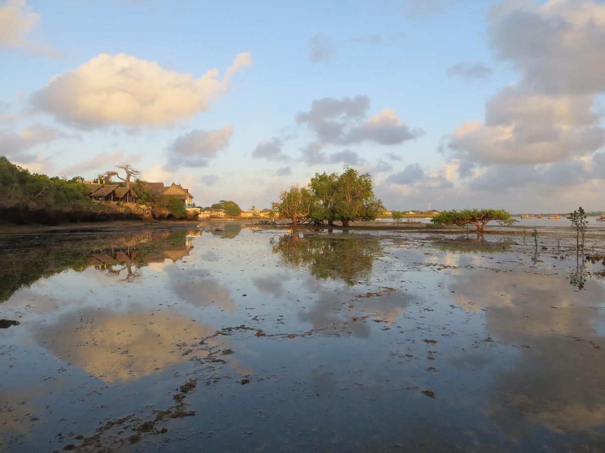 Wasini Island Bandas Exterior foto