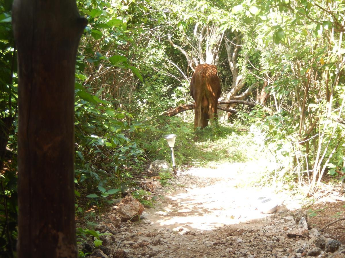 Wasini Island Bandas Exterior foto